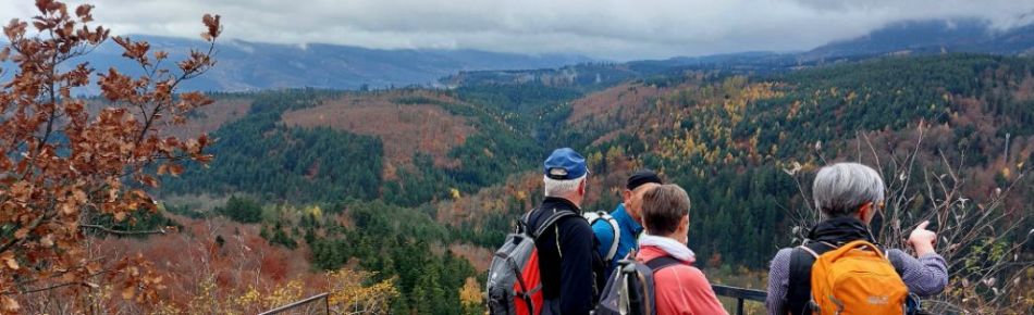 2025.11.09.nideck2.jpg