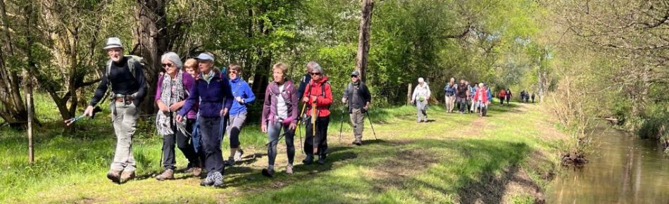 2026.04.26.dambach.jpg