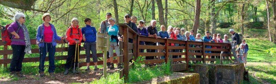 2026.0426.dambach01.jpg