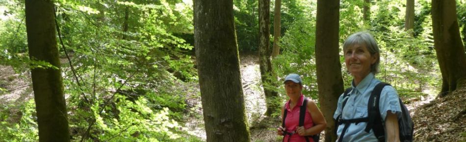2026.05.24.sarre1.jpg